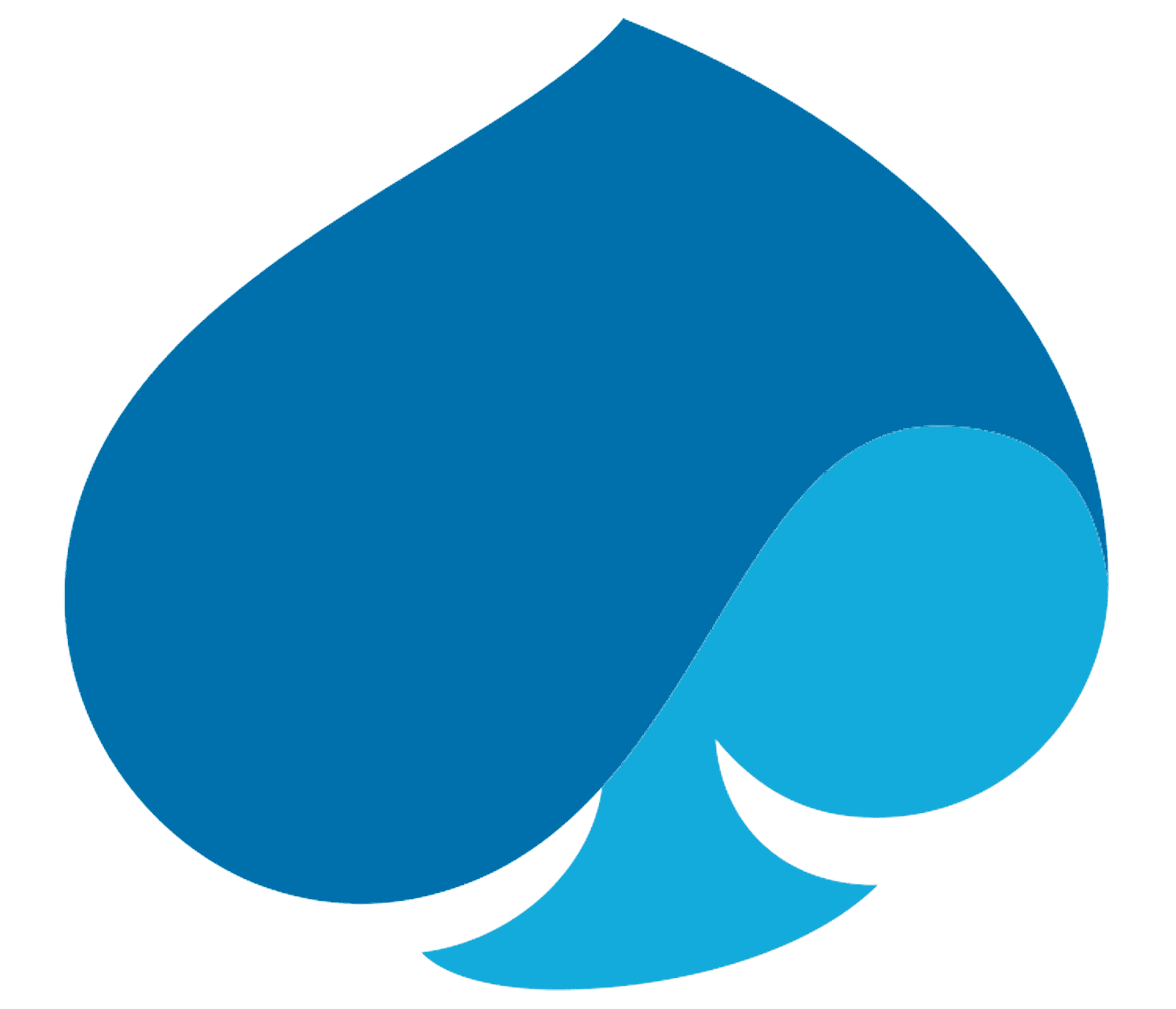 Capgemini Logo